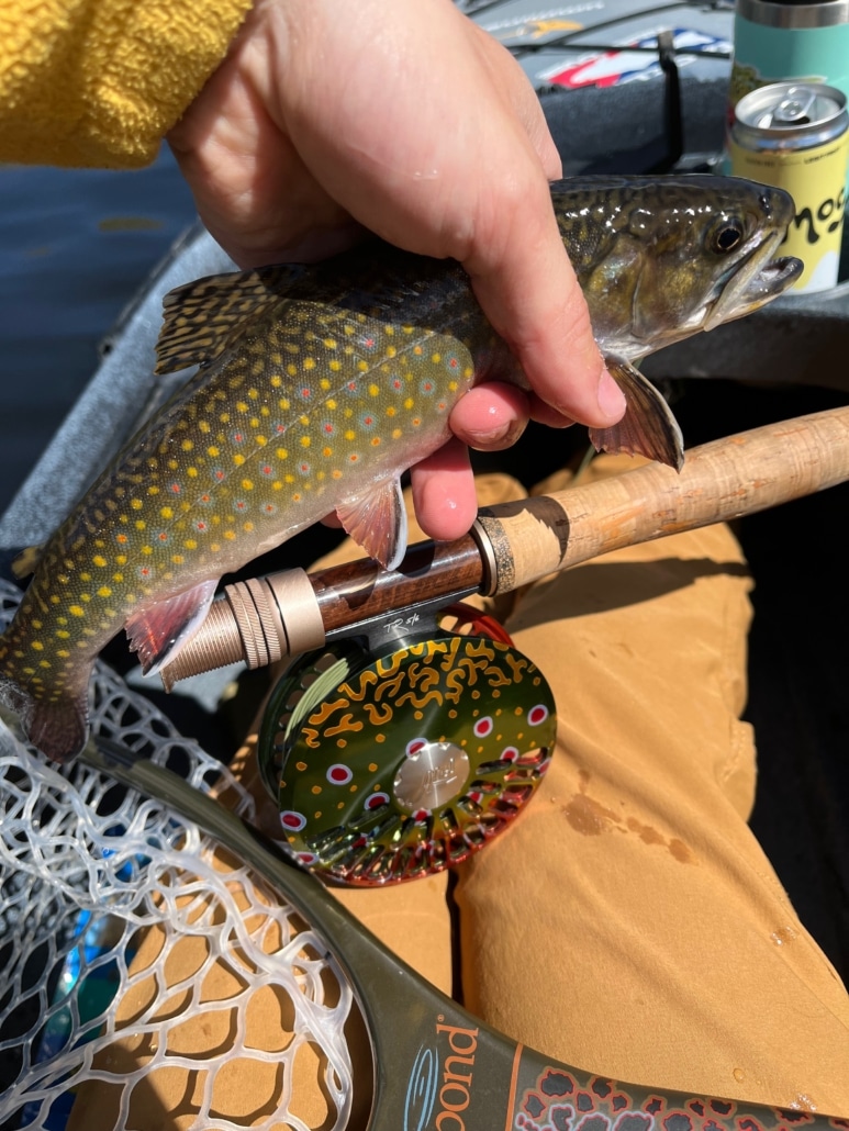 Fly Fishing Summit County Breckenridge Grand Vacations Blog