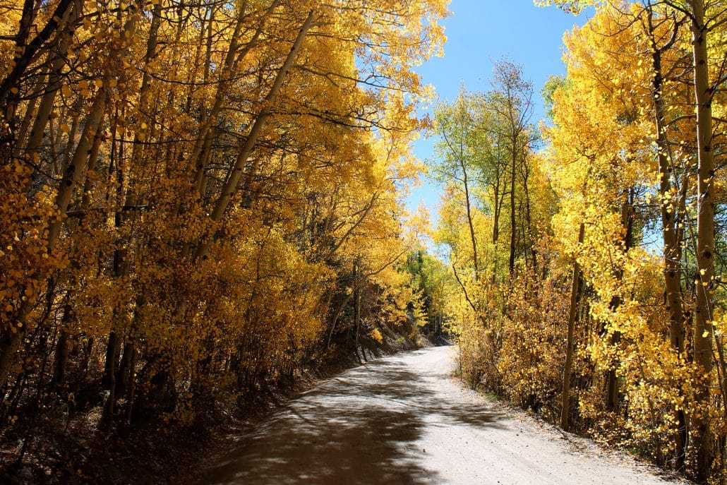 Fall Foliage Focus: Drives - Breckenridge Grand Vacations Blog